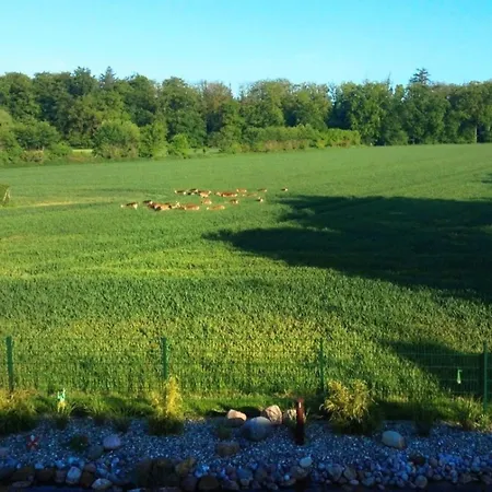 Waldhaus * Kellenhusen